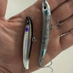 できればシーバスをお願いします。