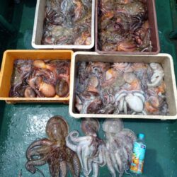 タコ釣り！