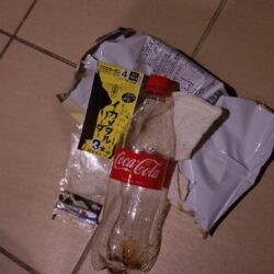 清掃活動：激時化、激イカメタル