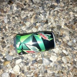 清掃活動：修理した磯竿のテスト