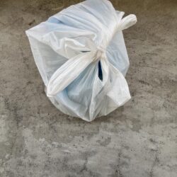 清掃活動：サビキしか加担