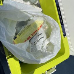 清掃活動：タコ自己記録の1350g