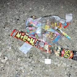 清掃活動：夏の夜のチヌ狙い