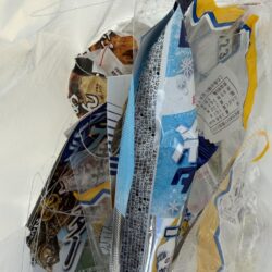清掃活動：シロギス釣り