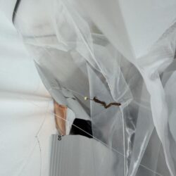 清掃活動：シロギス釣り