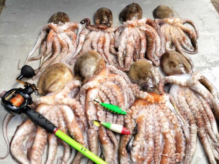 タコ釣り！