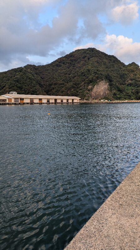 アジ釣り