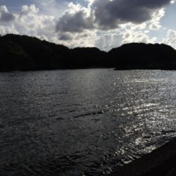 初釣行
