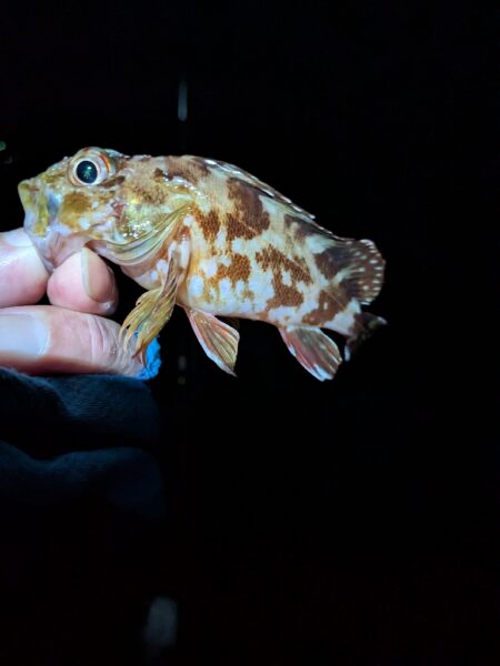 ん？
