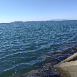 久しぶりのよい天気