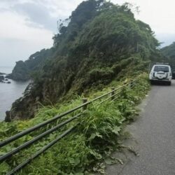 さっぱりでした、荒れてたんやね