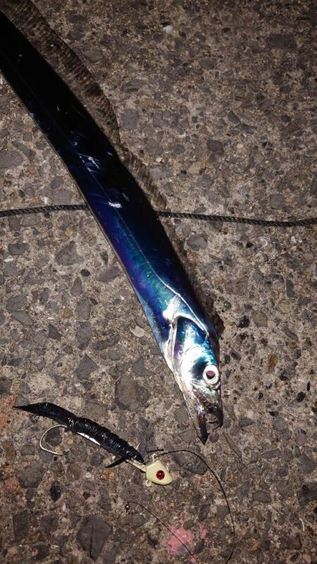 引き釣り 3