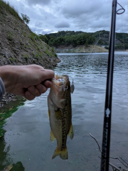 シルバーウィーク朝活短時間釣行