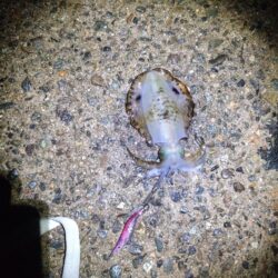 台風から逃げて