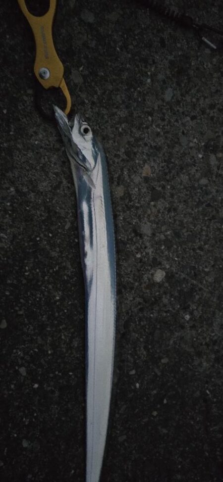 爆風の中の刀狩り