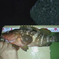 懲りずにアコウ狙い🎣