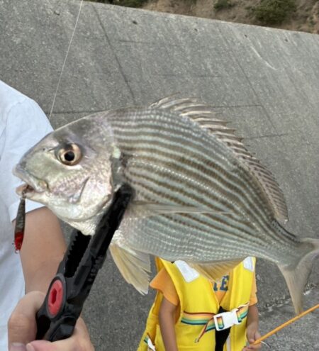 なんでもいいから釣りたかった
