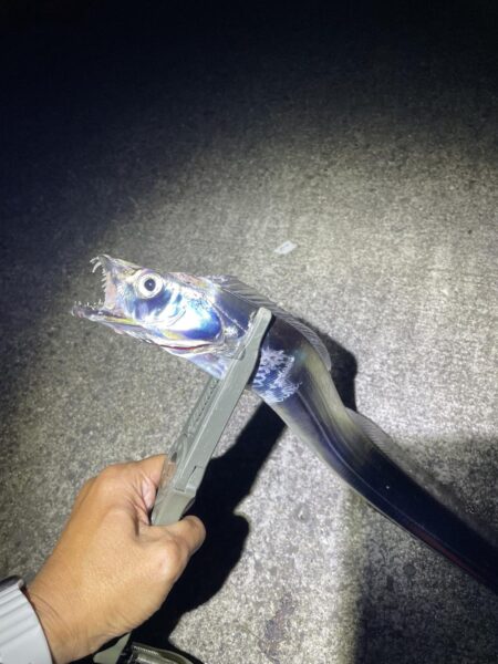 タチウオ釣行
