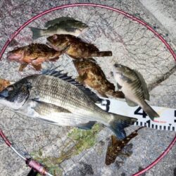 短時間釣行