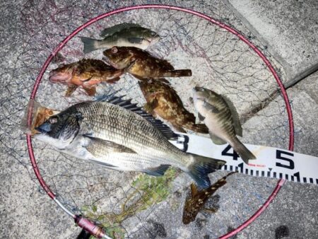 短時間釣行