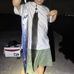まだまだサイズが細い
