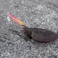 リベベンジ釣行〜