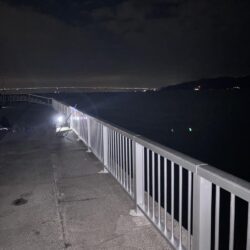 やっぱアナタは綺麗だよ