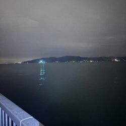なんとかやれた