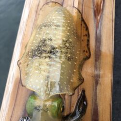 数が伸びずで