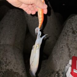 風が・・・