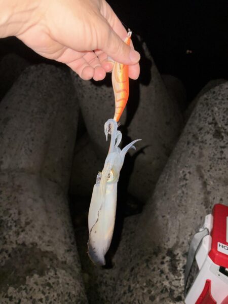 風が・・・