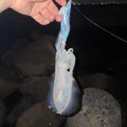 まだまだ蒸し暑い!