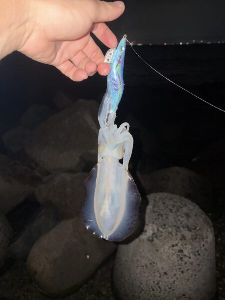 まだまだ蒸し暑い！
