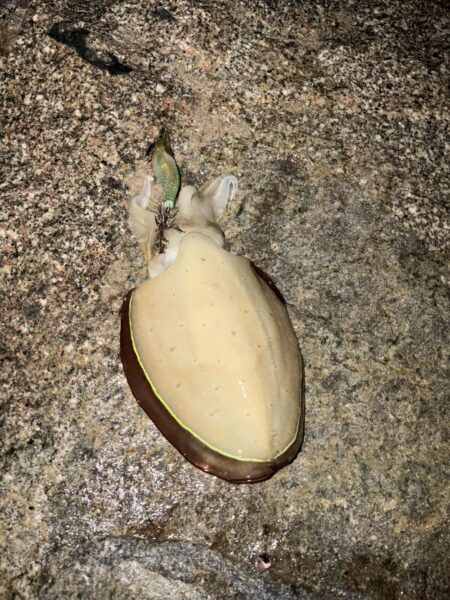 雨でも釣行！