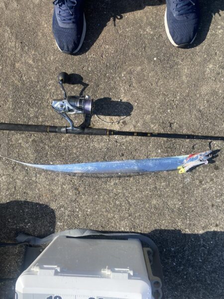 昼太刀魚