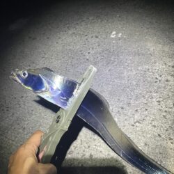 難しい