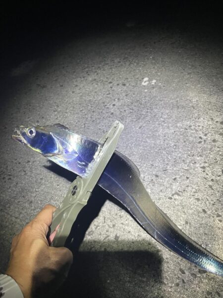 難しい