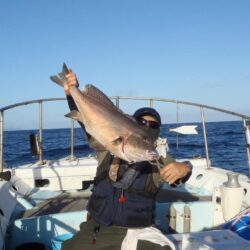 26年8月30日 今季初の落とし込みで玄界灘へGO~~~~~でした⛴幸真丸