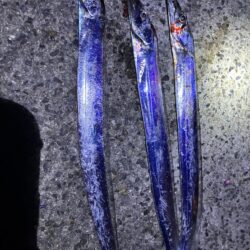 楽しめました