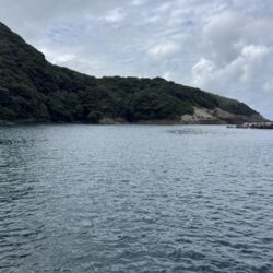 鳥を取って、魚を釣って行くｩ3nd