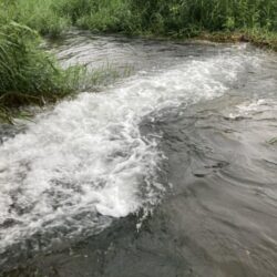 お手軽渓流ウグイング(北茨城市)