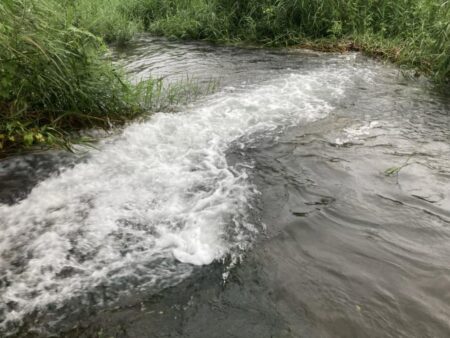 お手軽渓流ウグイング(北茨城市)