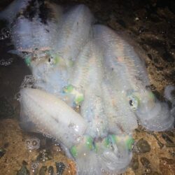 雨にも負けず、風にも負けずに