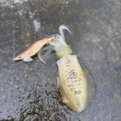 雨の中