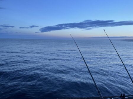若干の荒れ夜釣り