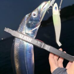 他魚種多様