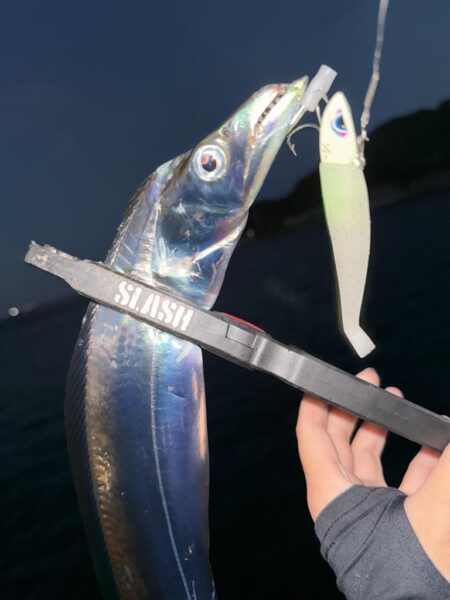 他魚種多様