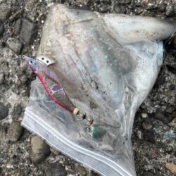 タチウオ釣り