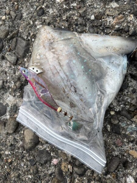 タチウオ釣り