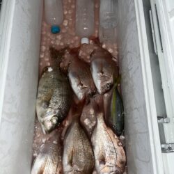 カセ釣り